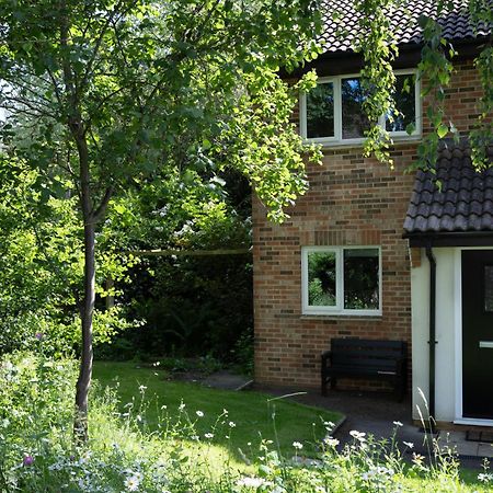 فيلا 35 Quaker Lane دارلينجتون المظهر الخارجي الصورة